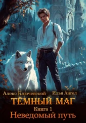 Алекс Ключевской (Лёха), Илья Ангел: Тёмный маг - 1 Лучший цикл Алекса Ключевского (Лёхи)