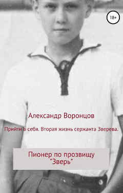 Александр Воронцов: Прийти в себя. Вторая жизнь сержанта Зверева