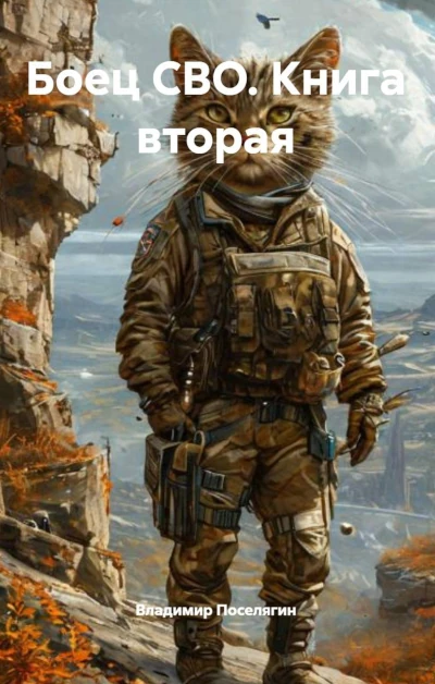 Владимир Поселягин: Боец СВО
