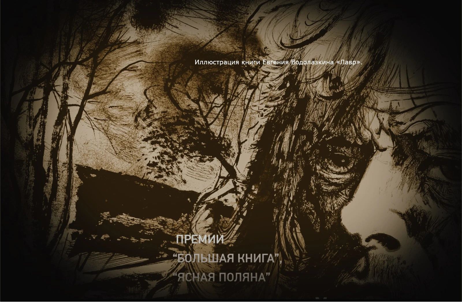 Книги Евгения Водолазкина